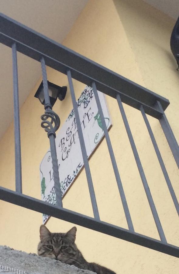 Bed and Breakfast Le Gatte Eboli Exterior foto